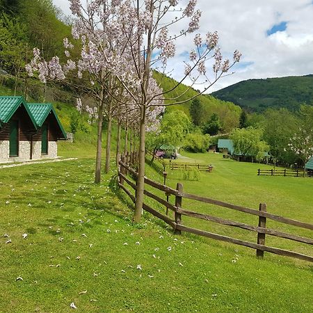 Camping Drina 포차 외부 사진
