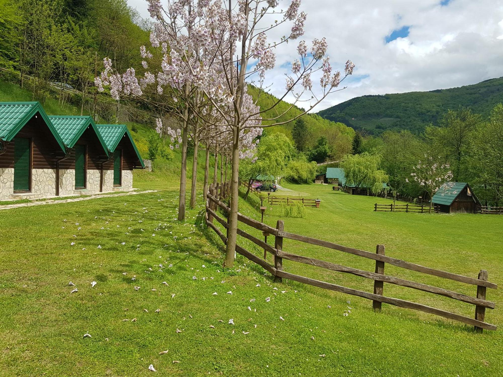 Camping Drina 포차 외부 사진